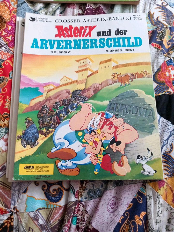 Riesiges Convulut alter Asterix Comics in Hamm