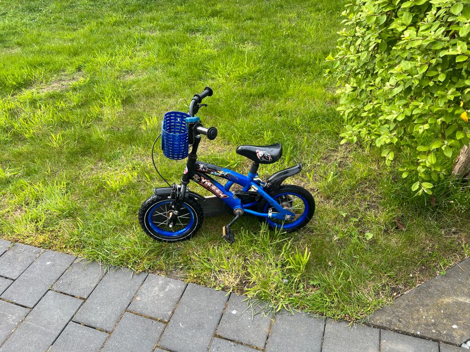 12 Zoll Kinder Fahrrad Rad guter Zustand Minifahrrad Fahrradkorb in Bielefeld