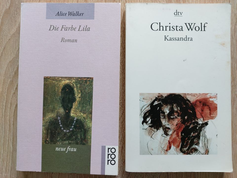 Kluft Doris Lessing Farbe Lila Alice Walker Kassandra ChristaWolf in Marburg