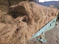 Heulage, trockene Silage Quaderballen 1,60x1,20m Pferde Rinder Nordrhein-Westfalen - Vlotho Vorschau