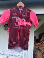 Radtrikot Gobik  312 Mallorca  Taiwan Size .S Nordrhein-Westfalen - Rietberg Vorschau