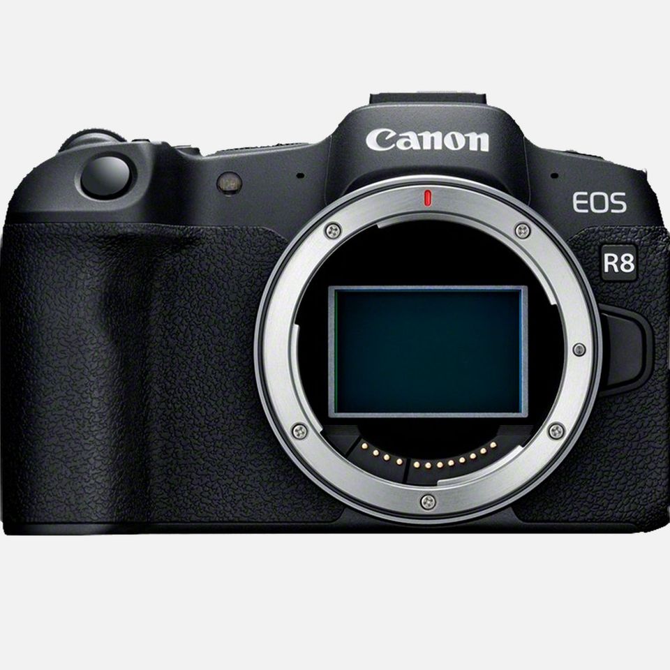 Canon EOS R8 Body, 1 x sofort verfügbar! in Heppenheim (Bergstraße)