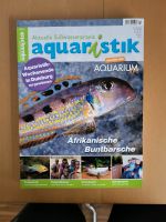 5x Zeitschriften Aquristik "Aktuelle Süßwasserpraxis" wie Neu Düsseldorf - Flingern Nord Vorschau