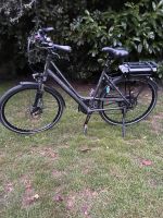 Roots Ebike m. hochwertigen Bauteilen Größe 53 cm Niedersachsen - Barßel Vorschau