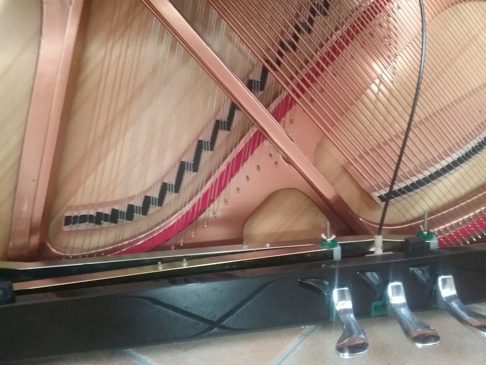 Klavier May, Selected by Schimmel in Schrobenhausen