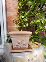 Terracottatopf mit Untersetzer, Pflanztopf,Blumentopf,frostfest Altona - Hamburg Ottensen Vorschau