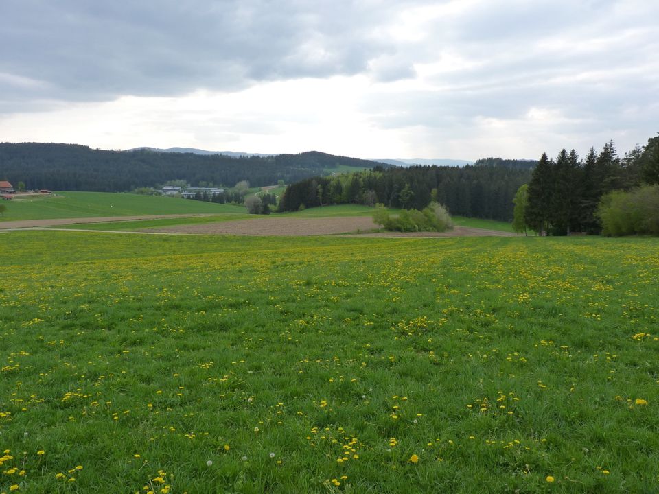 Ganz nah an der Natur ++ 3 Zimmer-Wohnung mit zwei Balkone ++ in Rinchnach