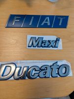 Fiat Ducato Maxi Schriftzug,Typenschild,neu Niedersachsen - Rastede Vorschau