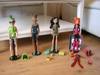 Monster High Puppe DEUCE GORGON - Vitrinenpuppe Sammlerpuppe Nordrhein-Westfalen - Kerpen Vorschau