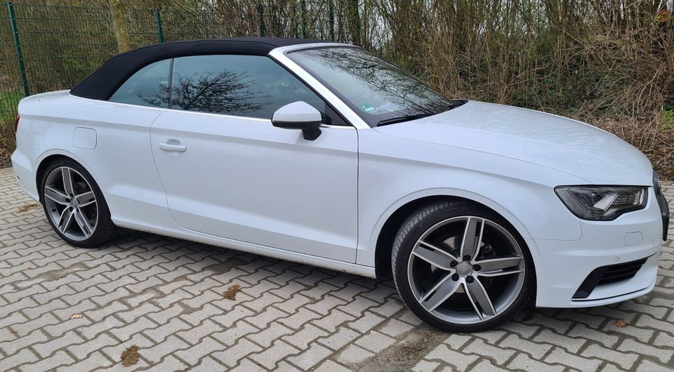 AUDI A3 CABRIOLET AMBITION 2.0 TDI 6-GANG in Bad Laer