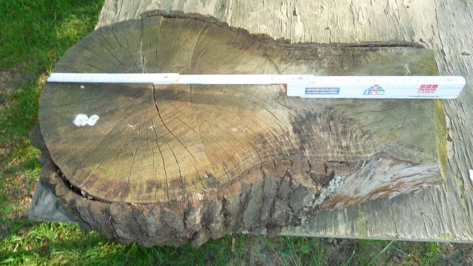Baumscheiben Holzscheiben, Tisch selber bauen 30€ in Espelkamp
