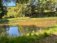 Grundstück Weiher Wald Wiese Weiheranlage Wochenendgrundstück Saarland - Nohfelden Vorschau