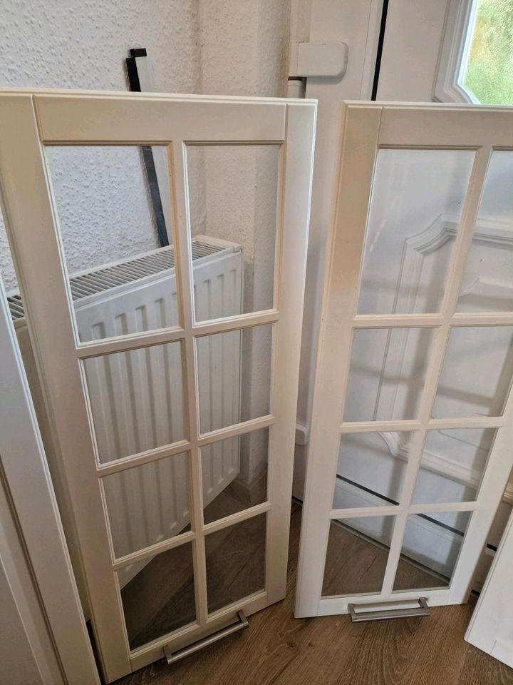 Ikea Bodbyn 2 x Vitrinentür, 2 x Tür für Metod B 40 x 100 cm in Berlin