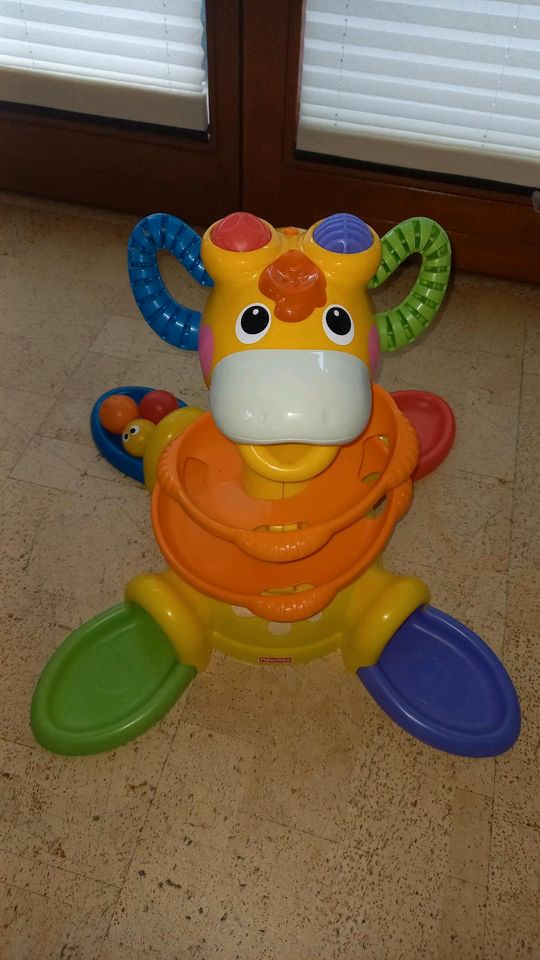 Kugelbahn Giraffe mit Bällen Sound für Kleinkinder in Jarmen