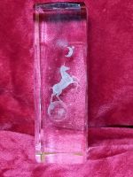 Einhorn Glasblock Fantasy Glas Laser Deko Sachsen - Neschwitz Vorschau