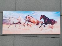 Bild / Keilrahmen Pferdemotiv 100 x 40 cm Hessen - Limburg Vorschau