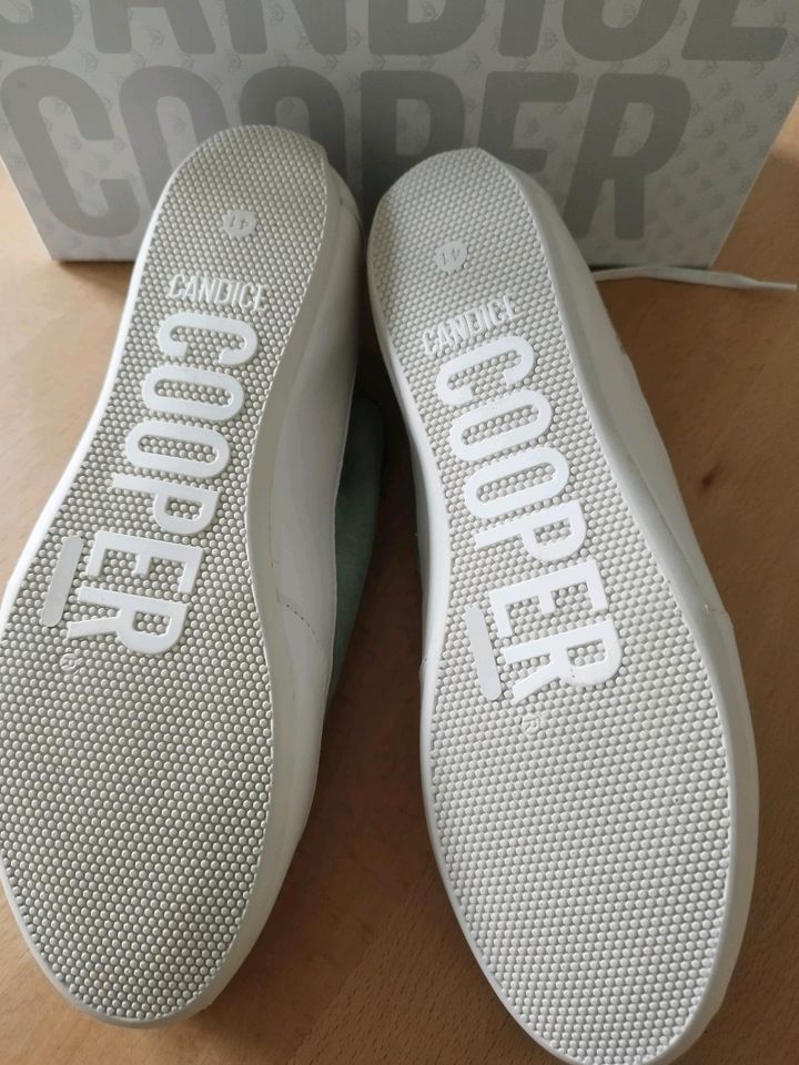 Sneaker Gr.41- Candice Cooper- neu und ungetragen in Ostbevern