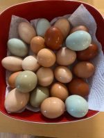Tagesfrische Eier Stück 10 Stück Niedersachsen - Wilhelmshaven Vorschau