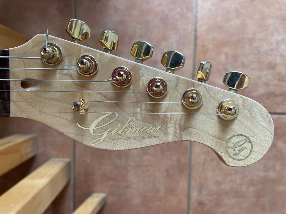 Gilmour Strat HSS, gold Hardware, Trem in Landau in der Pfalz