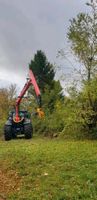 Gehölzpflege, Lichtraumprofil, Problembaumfällungen, Gartenpflege Baden-Württemberg - Altheim (Alb) Vorschau