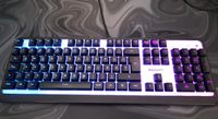 Roccat Magma Tastertur 100% Niedersachsen - Buxtehude Vorschau