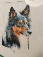 Hundeportrait Sheltie, Original Gemälde, Mischtechnik, Kunst Baden-Württemberg - Freiburg im Breisgau Vorschau