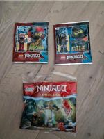 Lego Ninjago 30650 Kais und Raptons Duell im Tempel -SEALED + Tau Hessen - Rodgau Vorschau