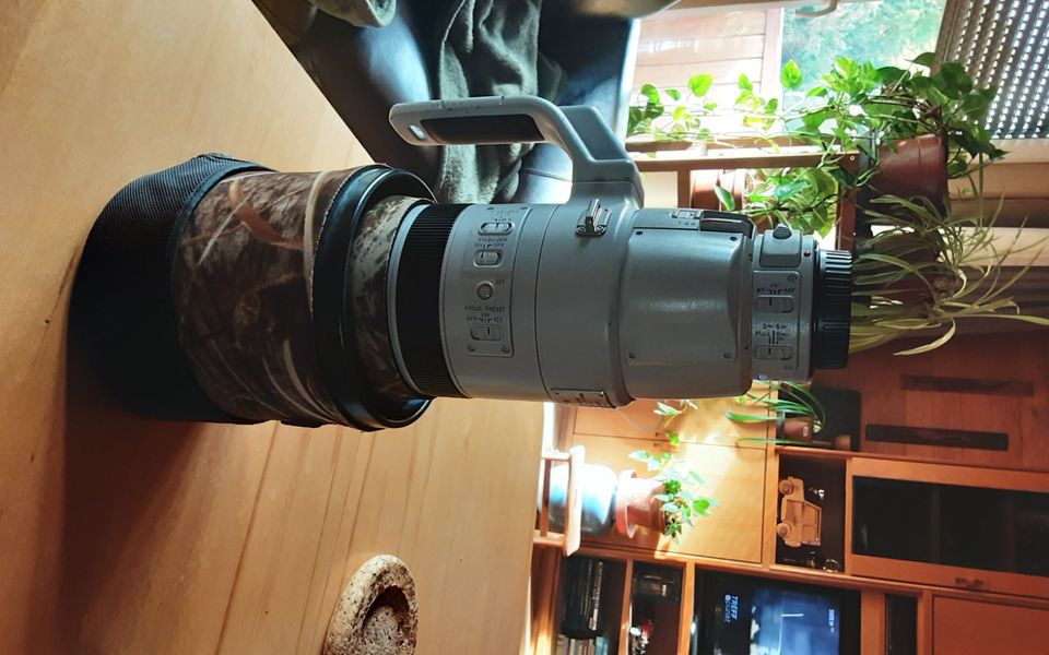 Canon 200-400 f4 in Nürtingen