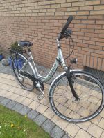 Pegasus Trekkingfahrrad Nordrhein-Westfalen - Gevelsberg Vorschau