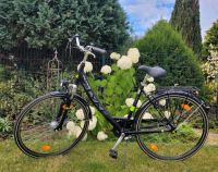 Flyke Damenfahrrad, 28 Zoll Nordrhein-Westfalen - Nideggen / Düren Vorschau