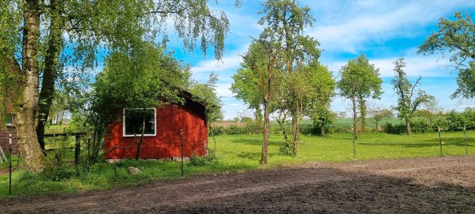 Offenstall in Neuenkirchen