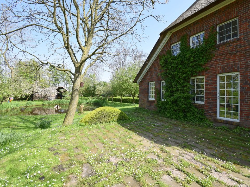 Historischer Landsitz unter Reet am Jadebusen / Nordsee in Stadland