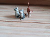 Schleich Katze Rheinland-Pfalz - Pohl Vorschau