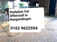 Stallplatz frei - Offenstall Baden-Württemberg - Rangendingen Vorschau