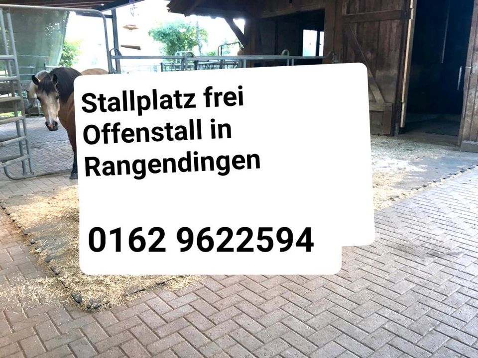 Stallplatz frei - Offenstall in Rangendingen