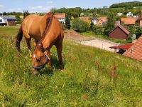 Pflegebeteiligung Hessen - Freiensteinau Vorschau