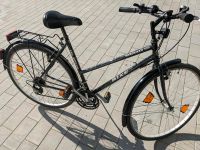 Modernes Damenfahrrad, Fahrrad, Mädchenfahrrad Bayern - Ursensollen Vorschau