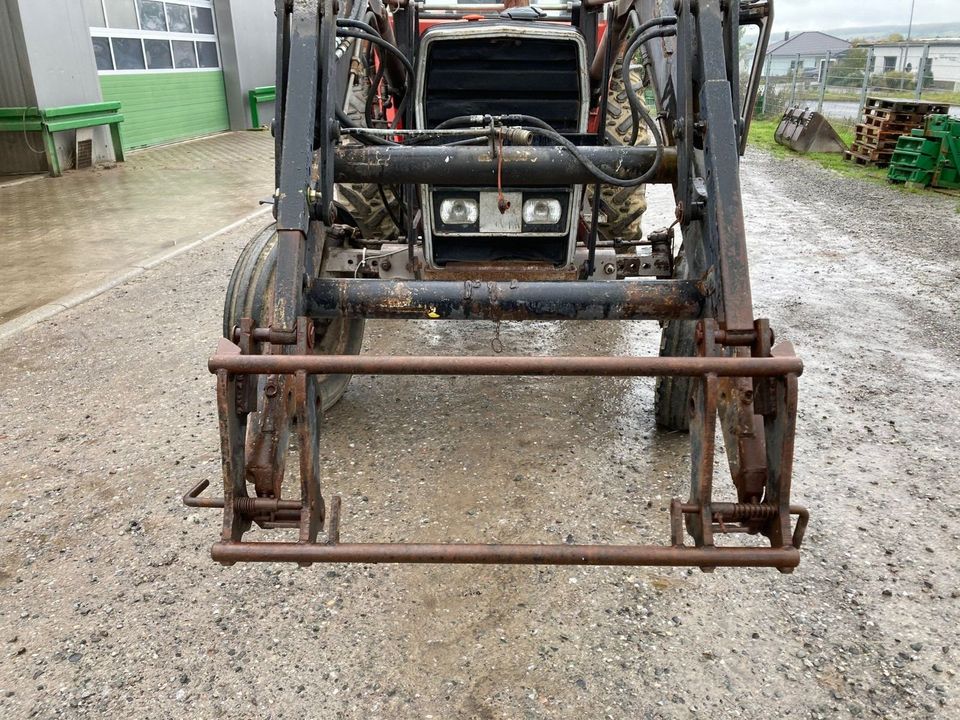 Trecker MF 595 Ackerschlepper, Netto 7983,- Frontlader Euro in Ulsnis