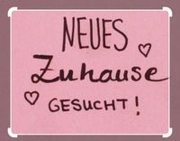 Hilfe suche 2 -3 Zimmer Wohnung wegen Eigenbedarf Bayern - Sulzbach a. Main Vorschau