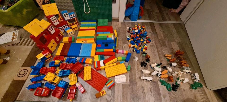 Lego Duplo XXL Paket Tiere Menschen Fahrzeuge Bauplatten Steine in Lehre