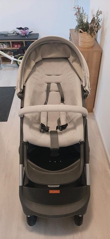 Stokke Trailz Kinderwagen in Aurachtal