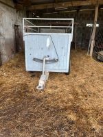 Karren Eigenbau zum Tiertransport Saarland - Merzig Vorschau