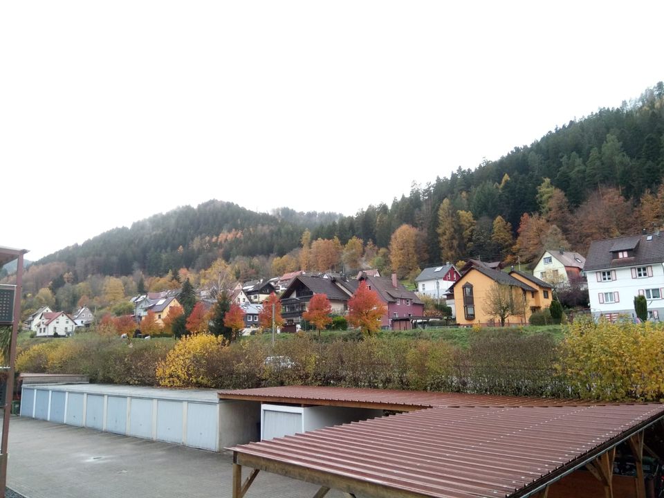 Sanierte, helle, freundliche und gut aufgeteilte 3-Zimmer-Wohnung in Bad Wildbad