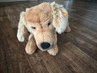 Steiff Andor Golden Retriever neu 45 cm Kr. Landshut - Furth Vorschau