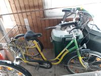 Fahrrad, Dreirad für Erwachsene Schleswig-Holstein - Satrup Vorschau