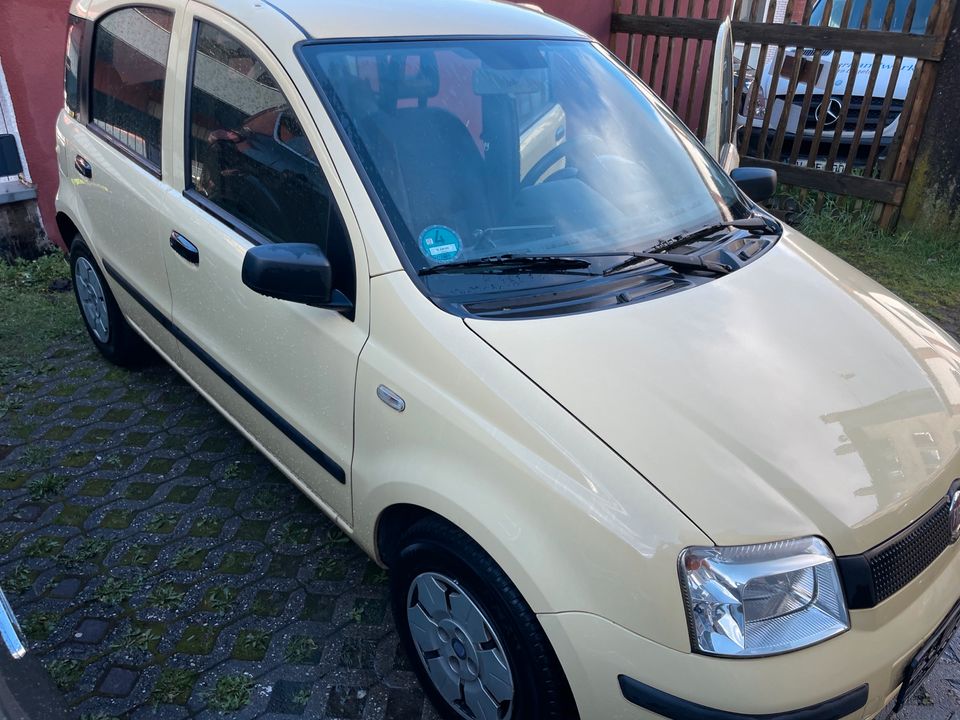 Fiat Panda 1,1 in Wuppertal