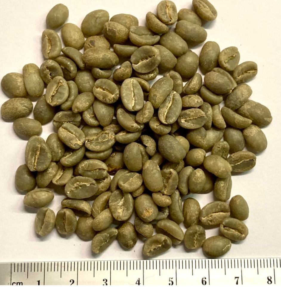 Rohkaffee Äthiopien Yirgacheffe - Arabica, grüner Kaffee, 1kg in Dresden