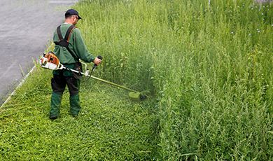 Service für Reinigung, Winterdienst, Gartenpflege, Hausmeister in Dortmund