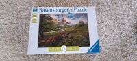 Ravensburger Puzzle 1000 Teile Leipzig - Großzschocher Vorschau