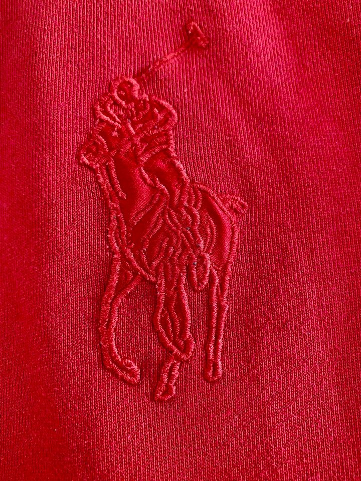 Polo Ralph Lauren Hoodie in Fachbach